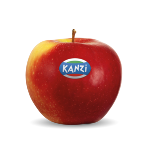 Nicoter / Kanzi® Nicoter / Kanzi®