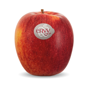 Scilate / envy™ Scilate / envy™