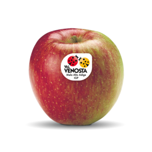 Braeburn Braeburn