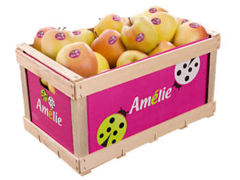 Fruitbox - Holz<br>Holzkartonsteige