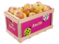 Fruitbox - legno<br>Cassa carton-legno