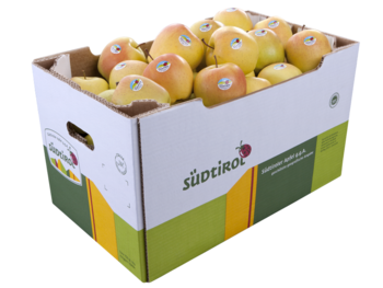 Fruitbox - cartone