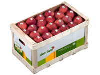 Fruitbox - Holz Holzkartonsteige