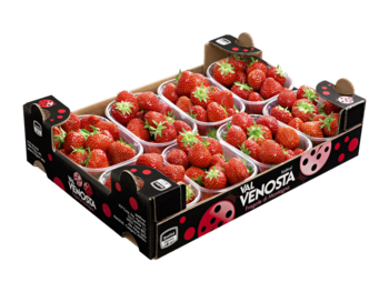 Erdbeeren<br>Karton