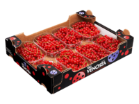 Rote Johannisbeeren<br>Karton