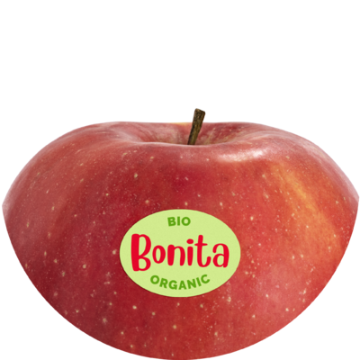 Bonita bio