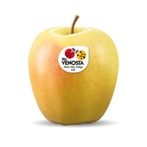 Golden Delicious Apfel