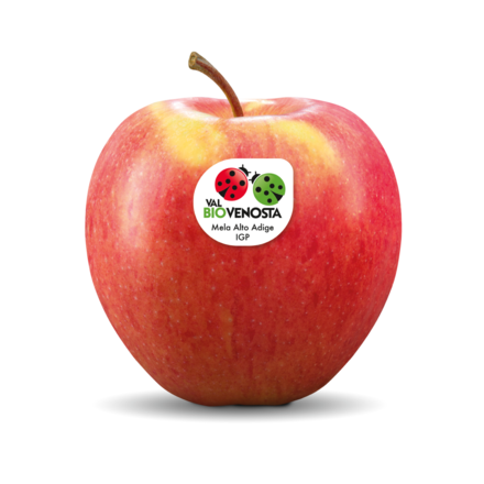 Pinova bio Pinova bio