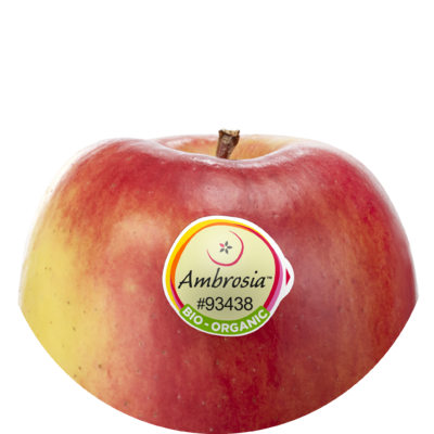 Ambrosia bio