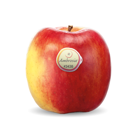 Ambrosia bio Ambrosia bio