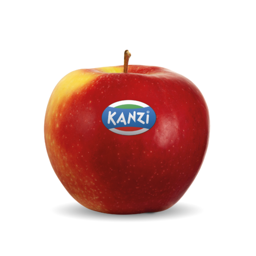 Nicoter / Kanzi® Nicoter / Kanzi®