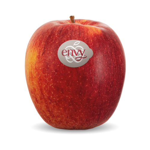 Scilate / envy™ Scilate / envy™