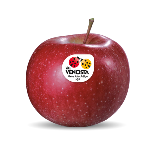 Morgenduft Morgenduft