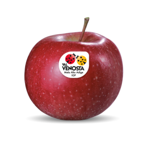 Morgenduft Morgenduft