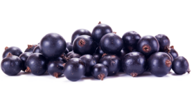 Black currants