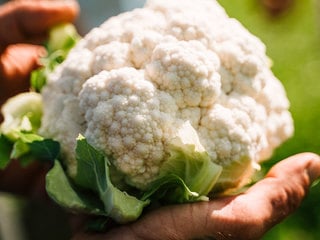 Coliflor