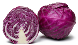 Blaukraut (Rotkohl)