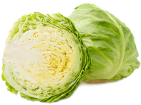 Cabbage (white cabbage)