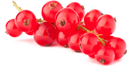 Rote Johannisbeeren