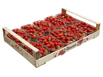 Erdbeeren<br>Holzsteige