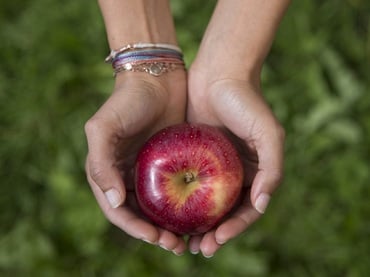 An apple for your beauty!