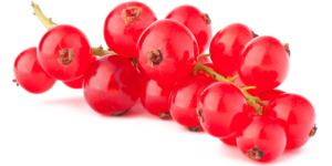 Rote Johannisbeeren