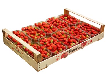 Erdbeeren aus dem Vinschgau