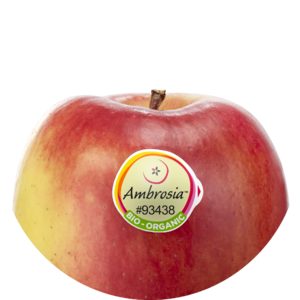 Ambrosia™