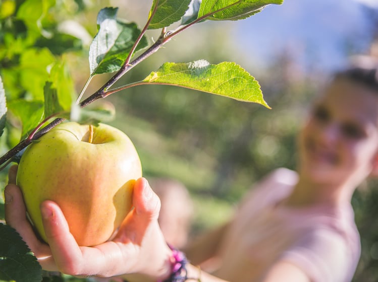 Organic Granny Smith Apples Biosüdtirol - Organic apples from South Tyrol