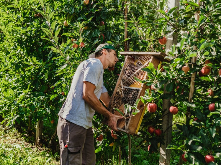 Ecosistema:<br>I più grandi? I più piccoli!