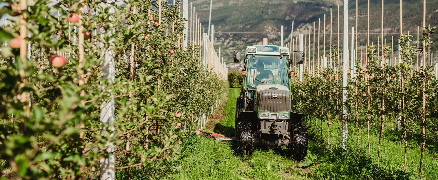 La produzione biologica