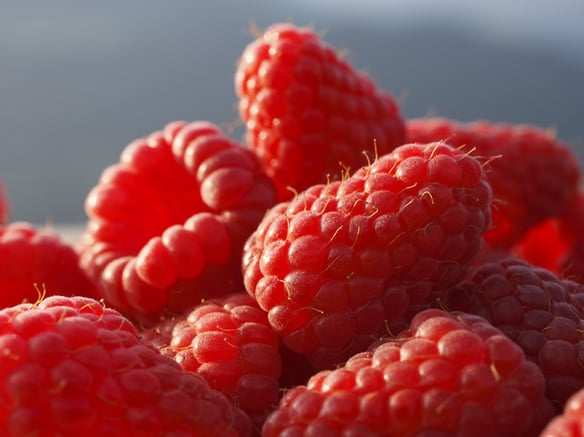 Himbeeren aus dem Vinschgau