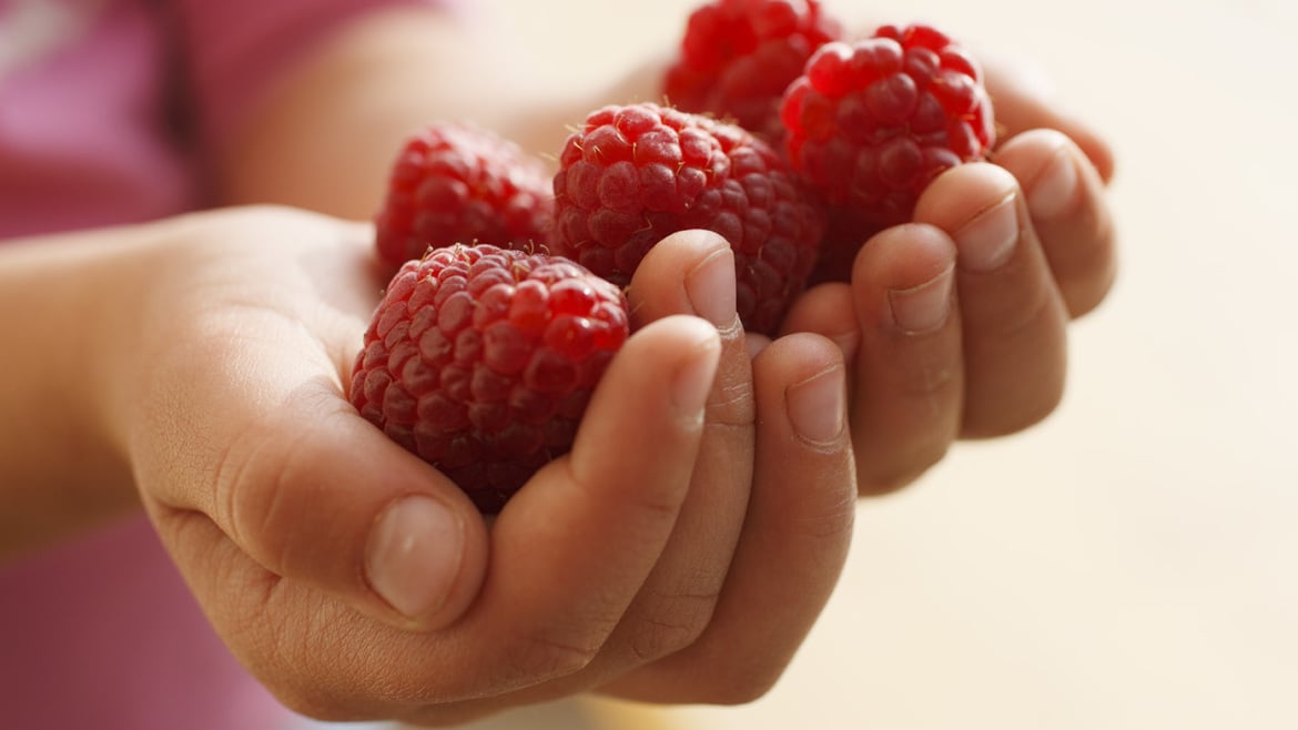 Raspberries from South Tyrol