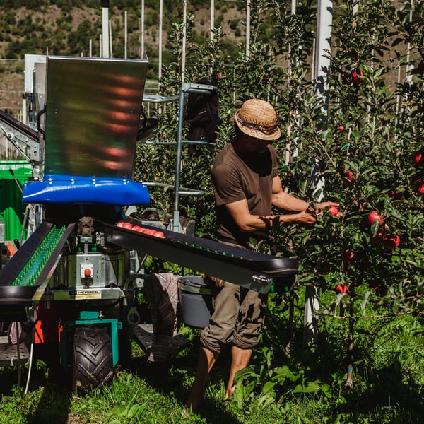 Ratschiller Achim Anton