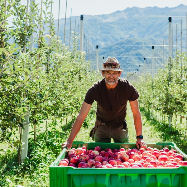 Ratschiller Achim Anton