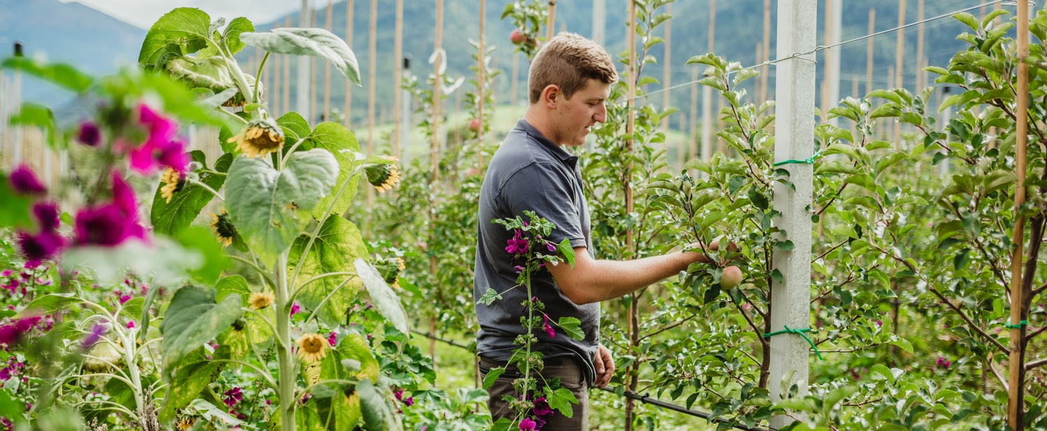 Produzione sostenibile