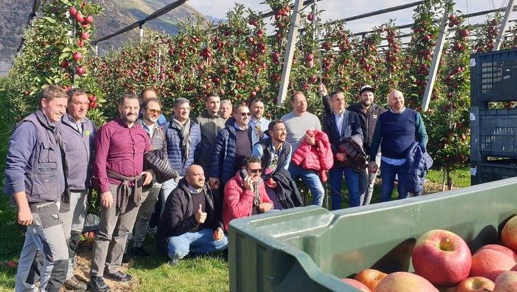 Formación sobre manzanas