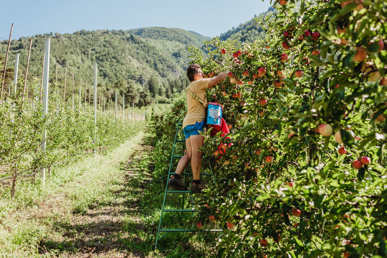 In che modo si può praticare la biodiversità nell’agricoltura?