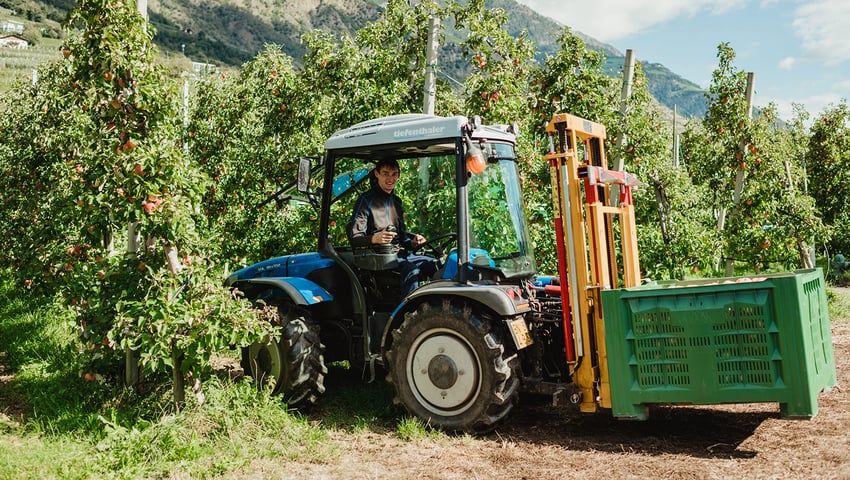 Lesina Debiasi Hannes