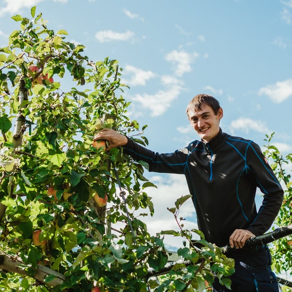 Lesina Debiasi Hannes