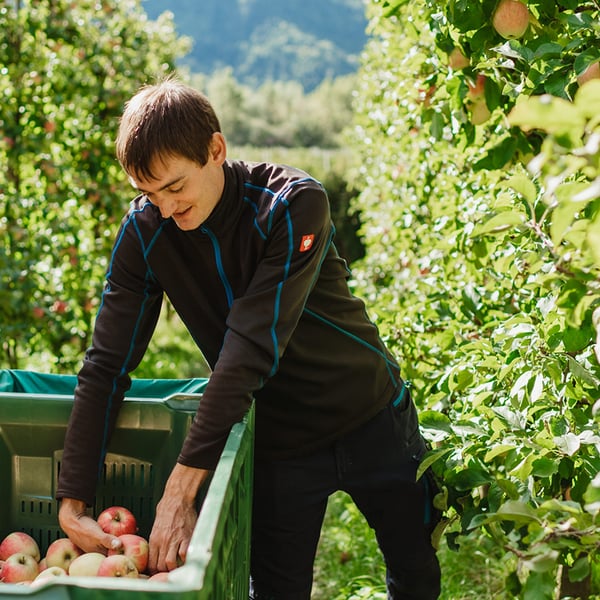 Lesina Debiasi Hannes