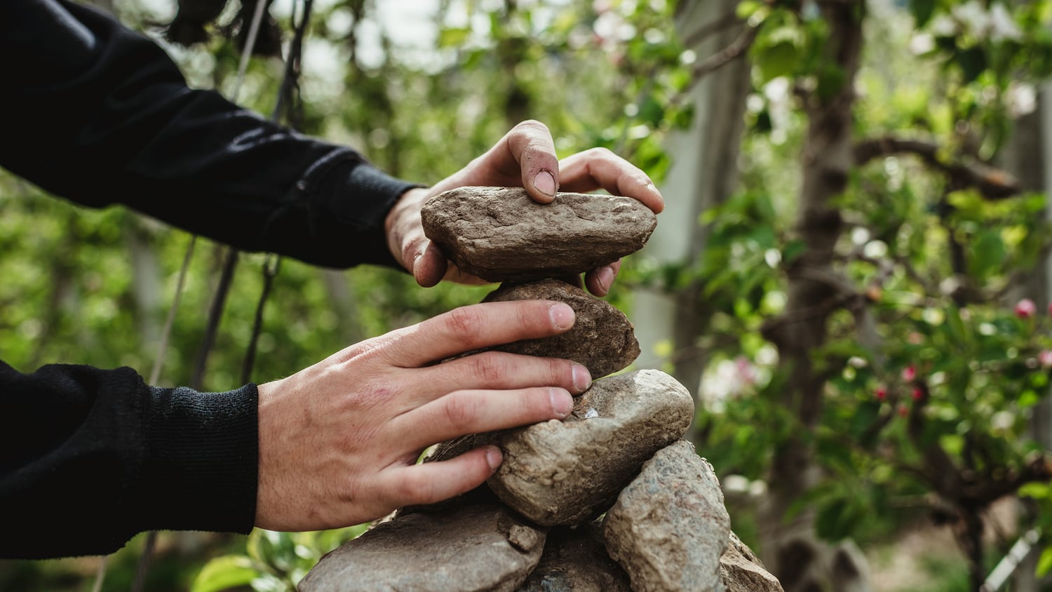 Elaborazione del “questionario habitat frutteto“