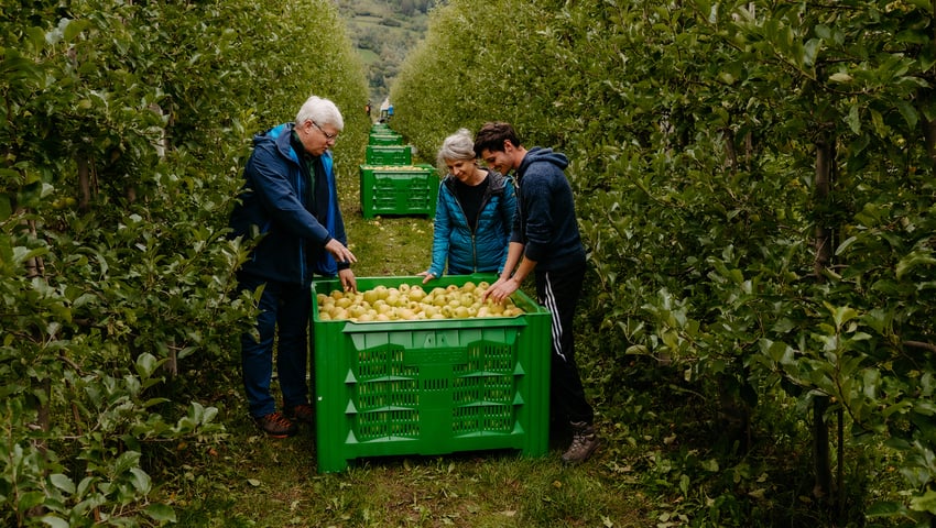 Oberdörfer Wolfgang