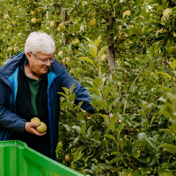Oberdörfer Wolfgang