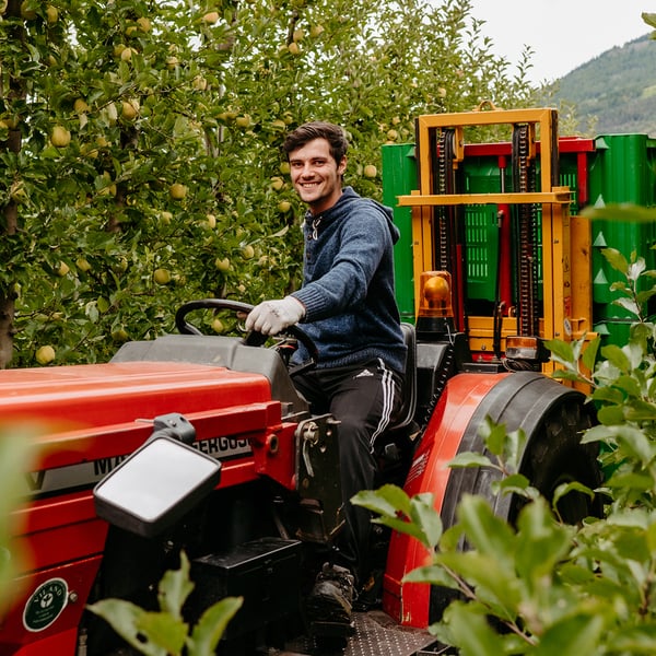 Oberdörfer Wolfgang