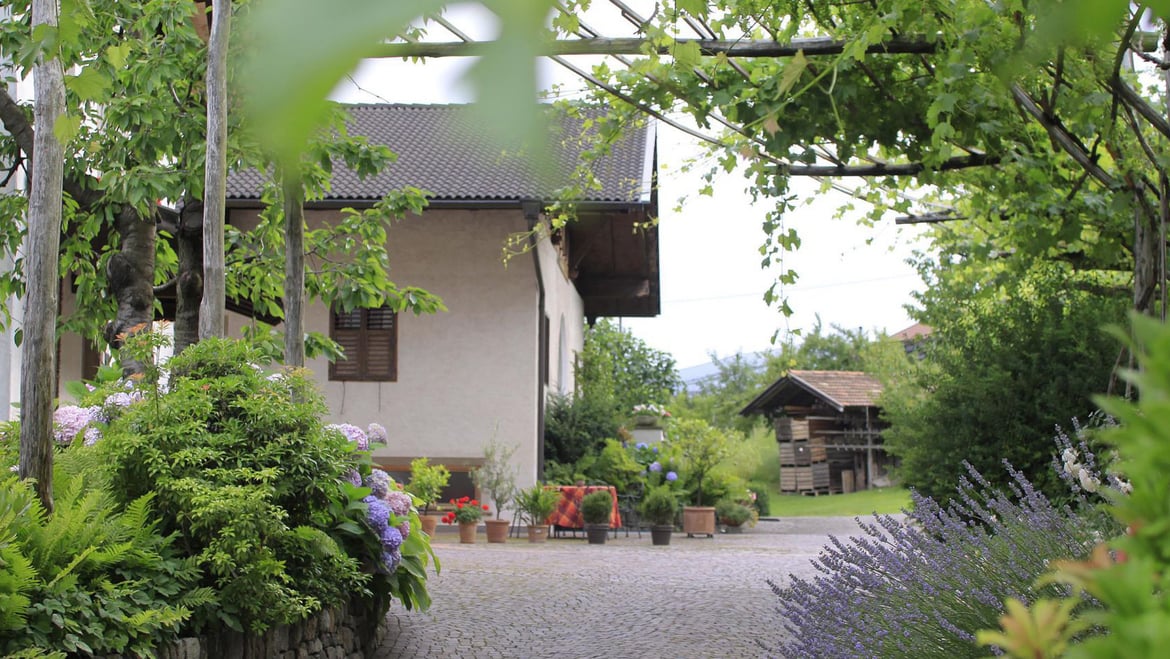 Gasserhof Plars Finca