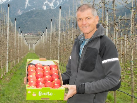 Agricultura en armonía con la naturaleza gracias a las variedades resistentes a la sarna del manzano