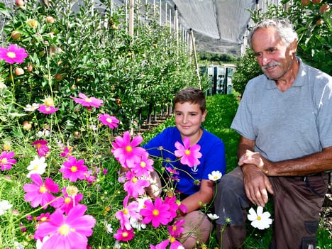 Meine Blumen für Opas Apfelwiese