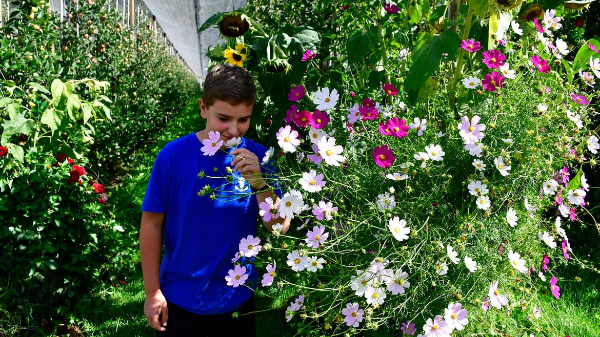 My flowers for grandpa's apple orchard