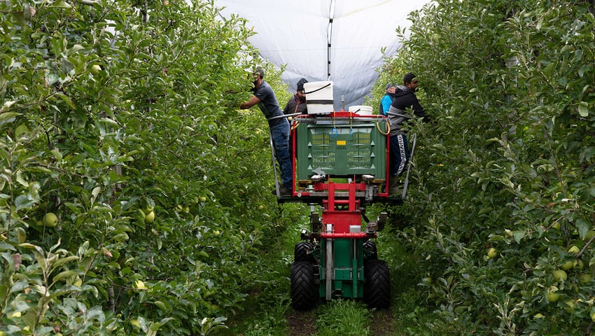 Jennewein Samuel Franz